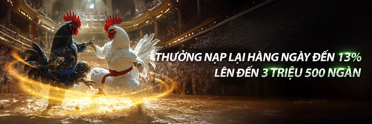 Hình ảnh chính của blog 88king code